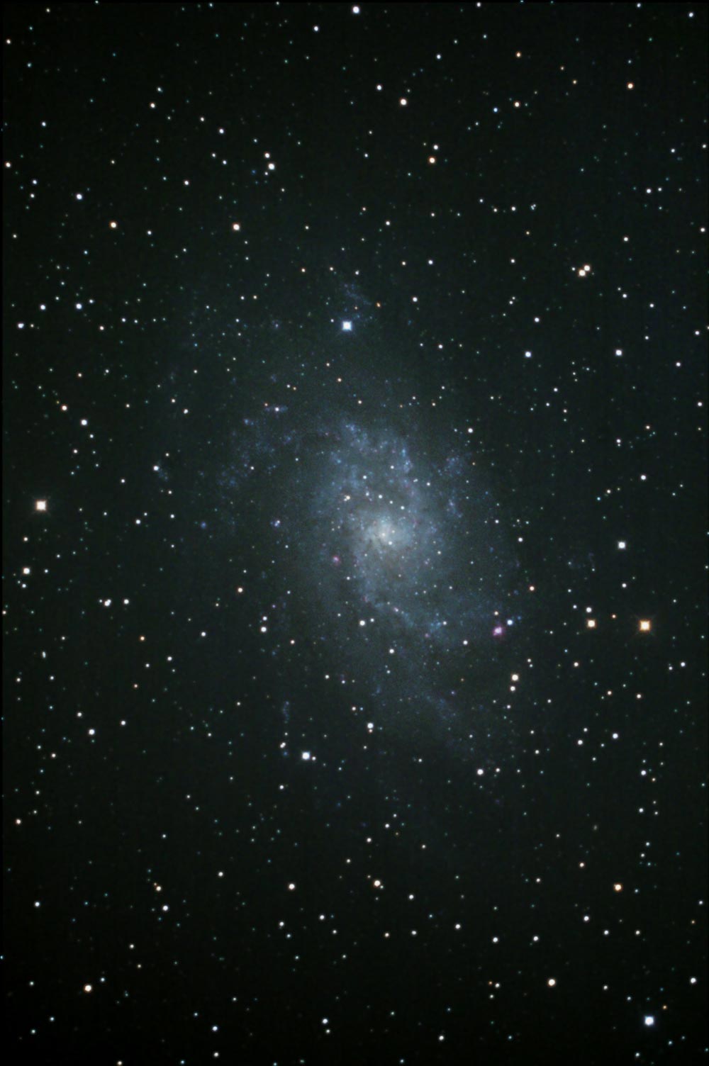 M33の写真