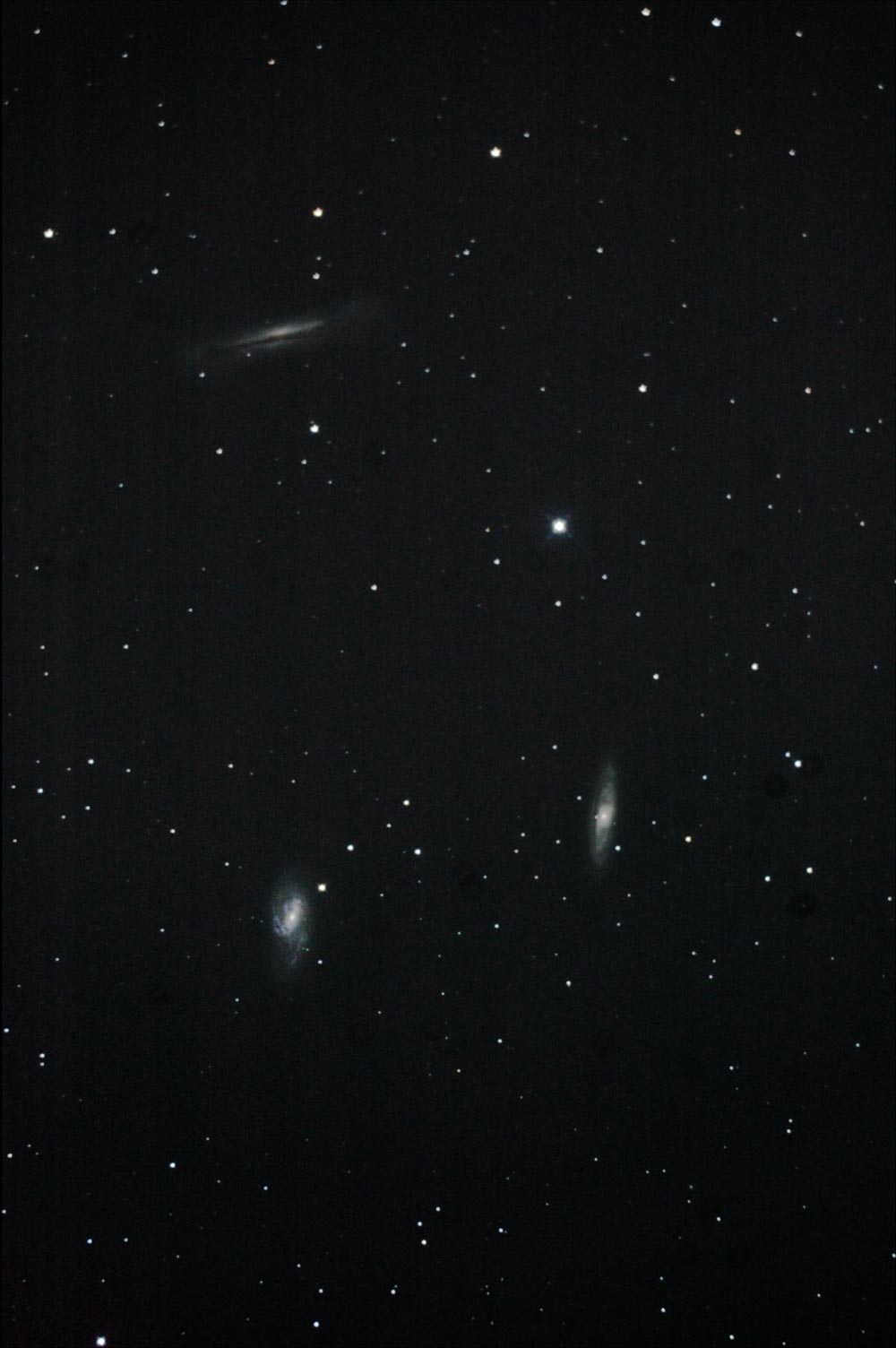 M65,M66,NGC3628の写真