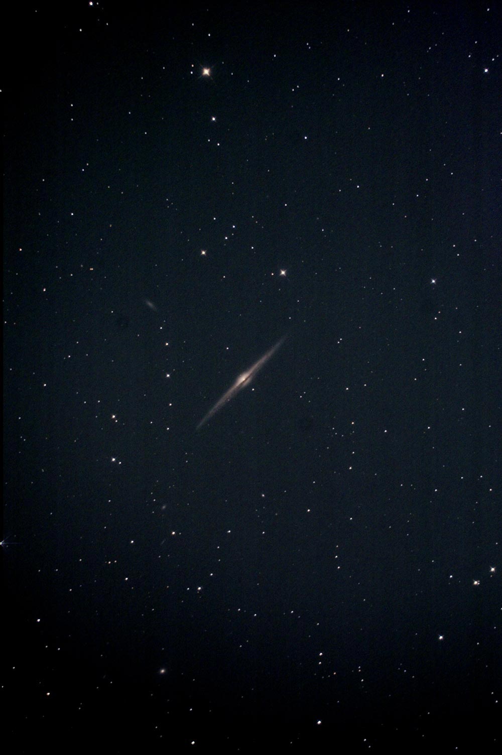 NGC4565の写真