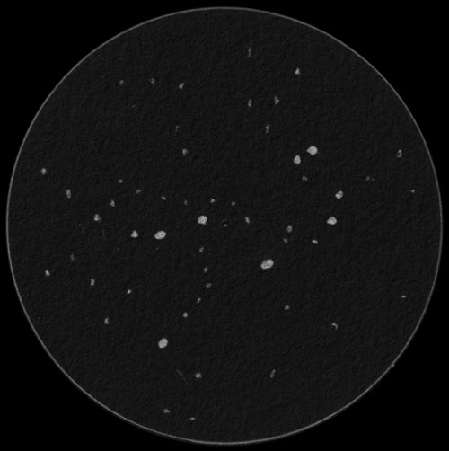 M45プレアデス星団のスケッチ
