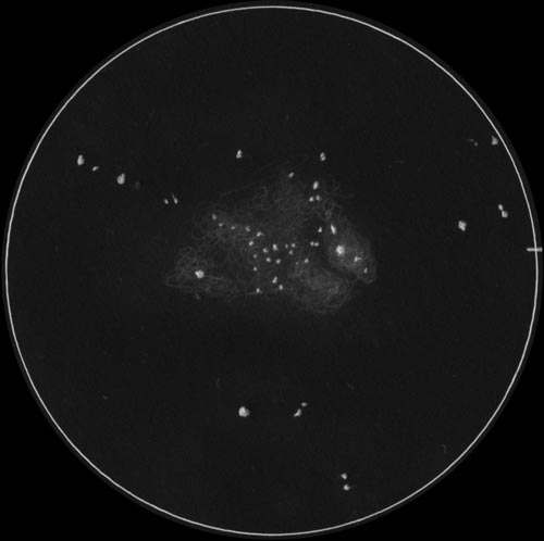 M8干潟星雲のスケッチ