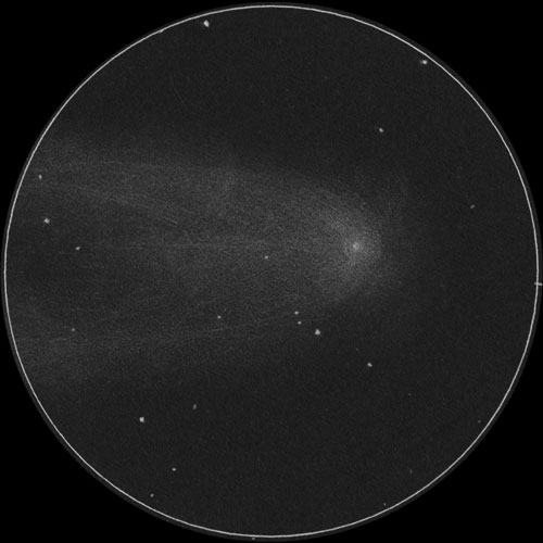C/2021 A1 レナード彗星のスケッチ