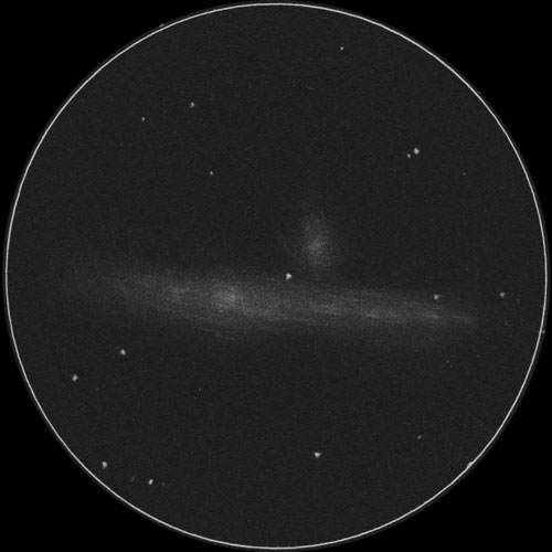 C32くじら銀河 (NGC4631)くじら銀河のスケッチ