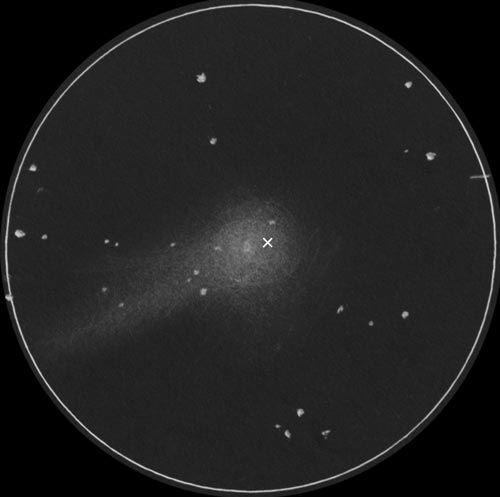 ルーリン彗星(C/2007 N3)のスケッチ