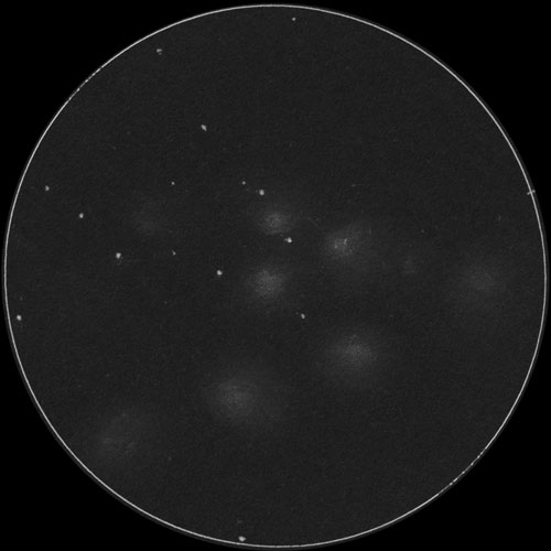 Arp113 (NGC68, NGC70, NGC71, 他)