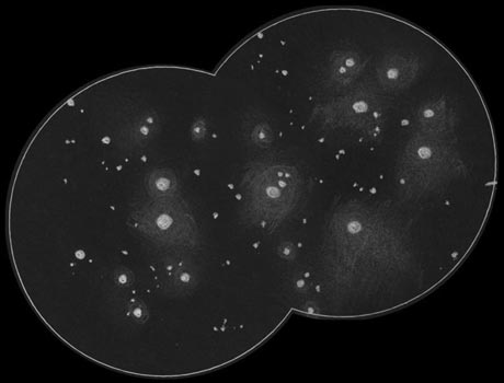 M45プレアデス星団のスケッチ