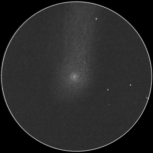 NEOWISE彗星 (C/2020 F3)のスケッチ
