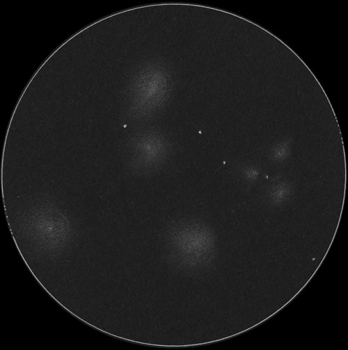 NGC439, NGC441のスケッチ