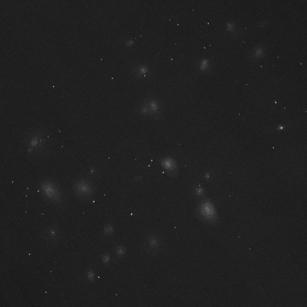 NGC80のスケッチ